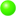 Red-bellied Turtle