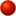 Northern Red-faced Turtle