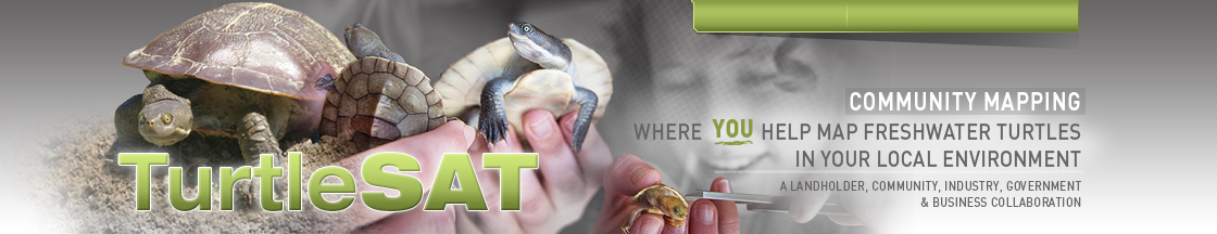 TurtleSAT