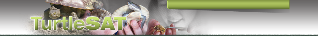TurtleSAT