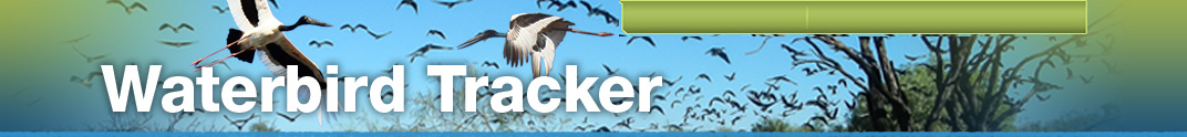 WaterBirds